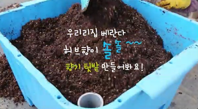 [썸네일 이미지] 허브향 솔솔~ 향기텃밭!