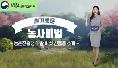 농촌진흥청 개발 버섯 신품종 소개